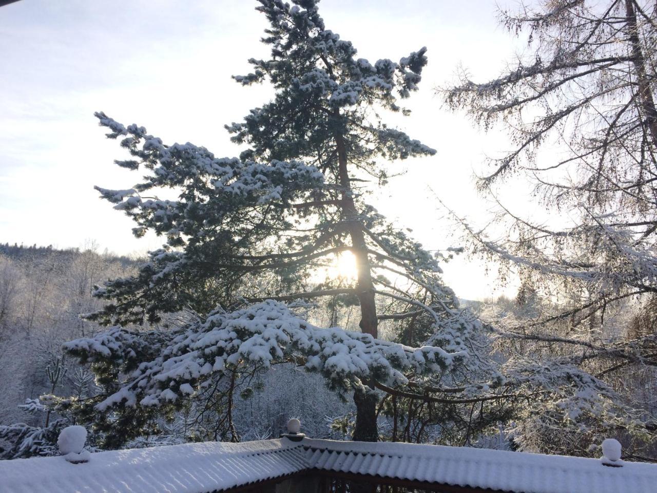 Hotel Eco Sadiba Kaskad Velyka Volosyanka Exteriér fotografie